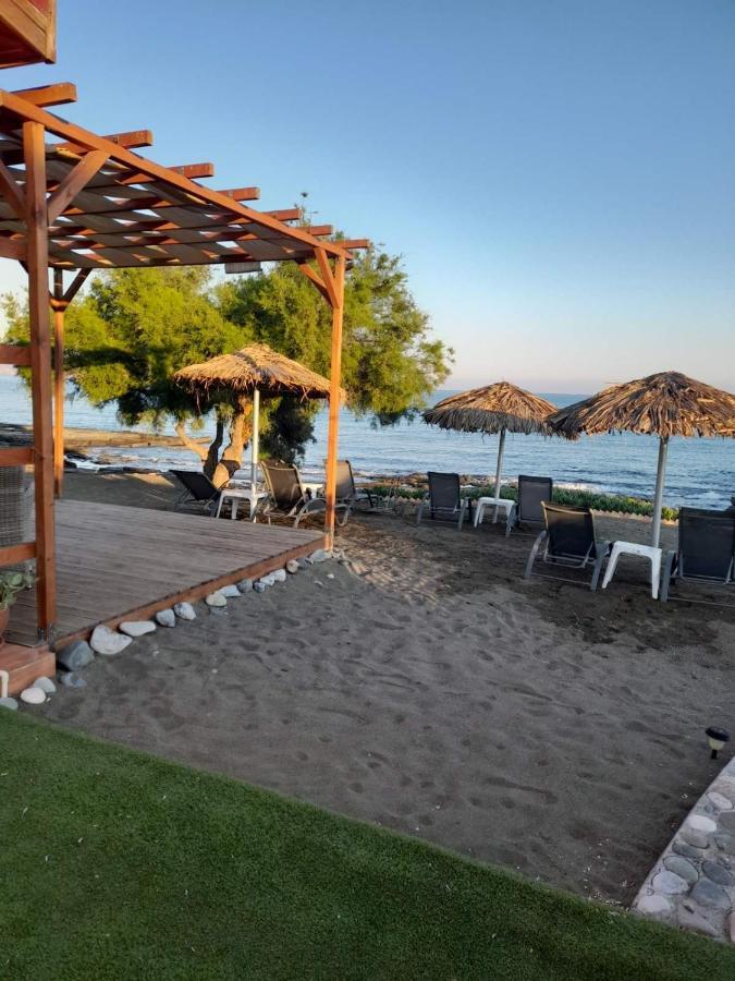 Kato Yialia Wooden Apartment , Agia Marina Chrysochous מראה חיצוני תמונה